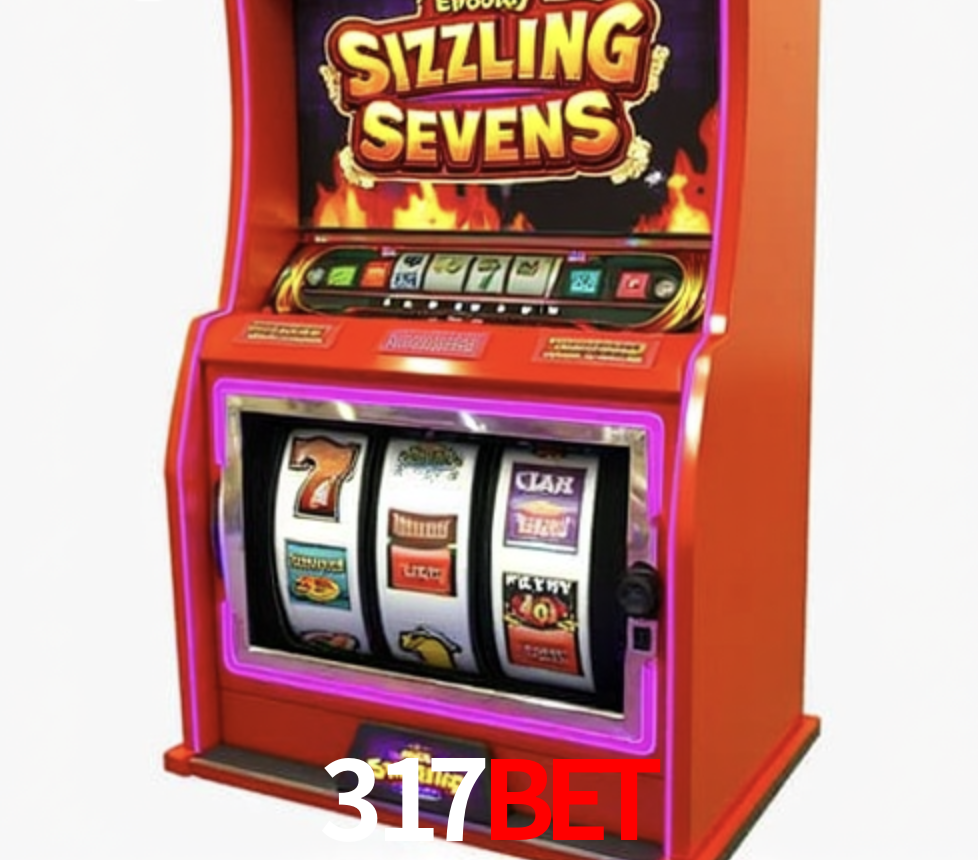 Security Systems 317bet